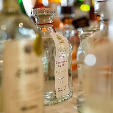 酒店 波斯德林根酒店