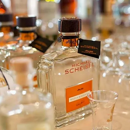 波斯德林根酒店 酒店 Jungingen